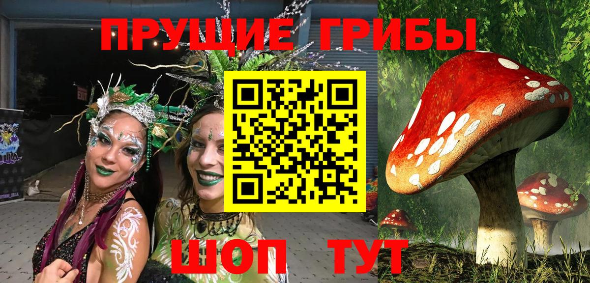 Петрозаводск  где продают наркотики  Вход с VPN  Псилоцибиновые грибы мицелий 