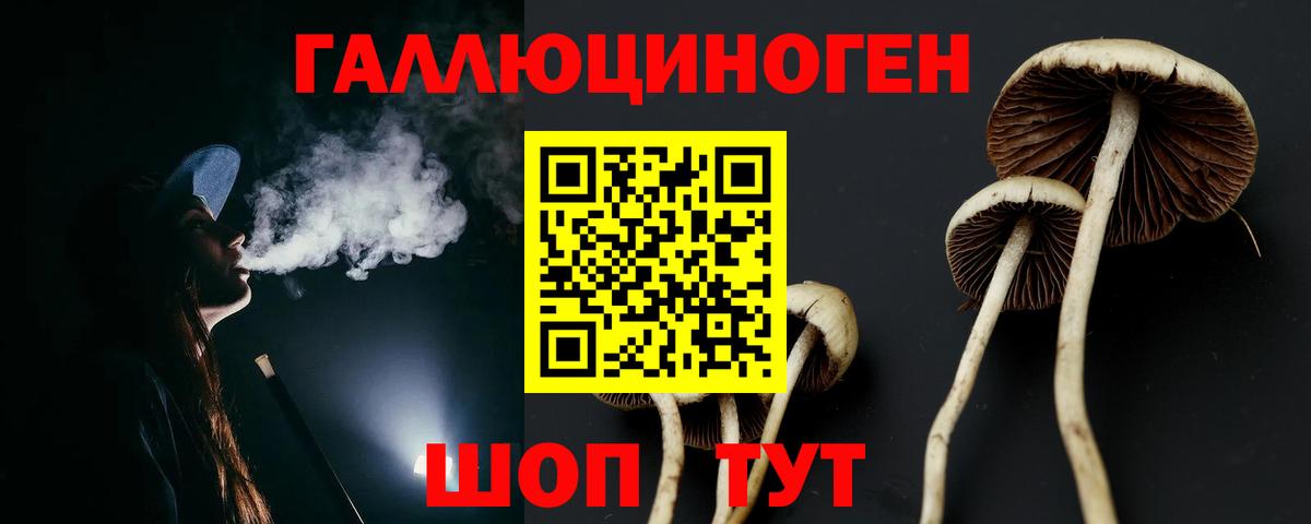 Галлюциногенные грибы MAGIC MUSHROOMS Петрозаводск